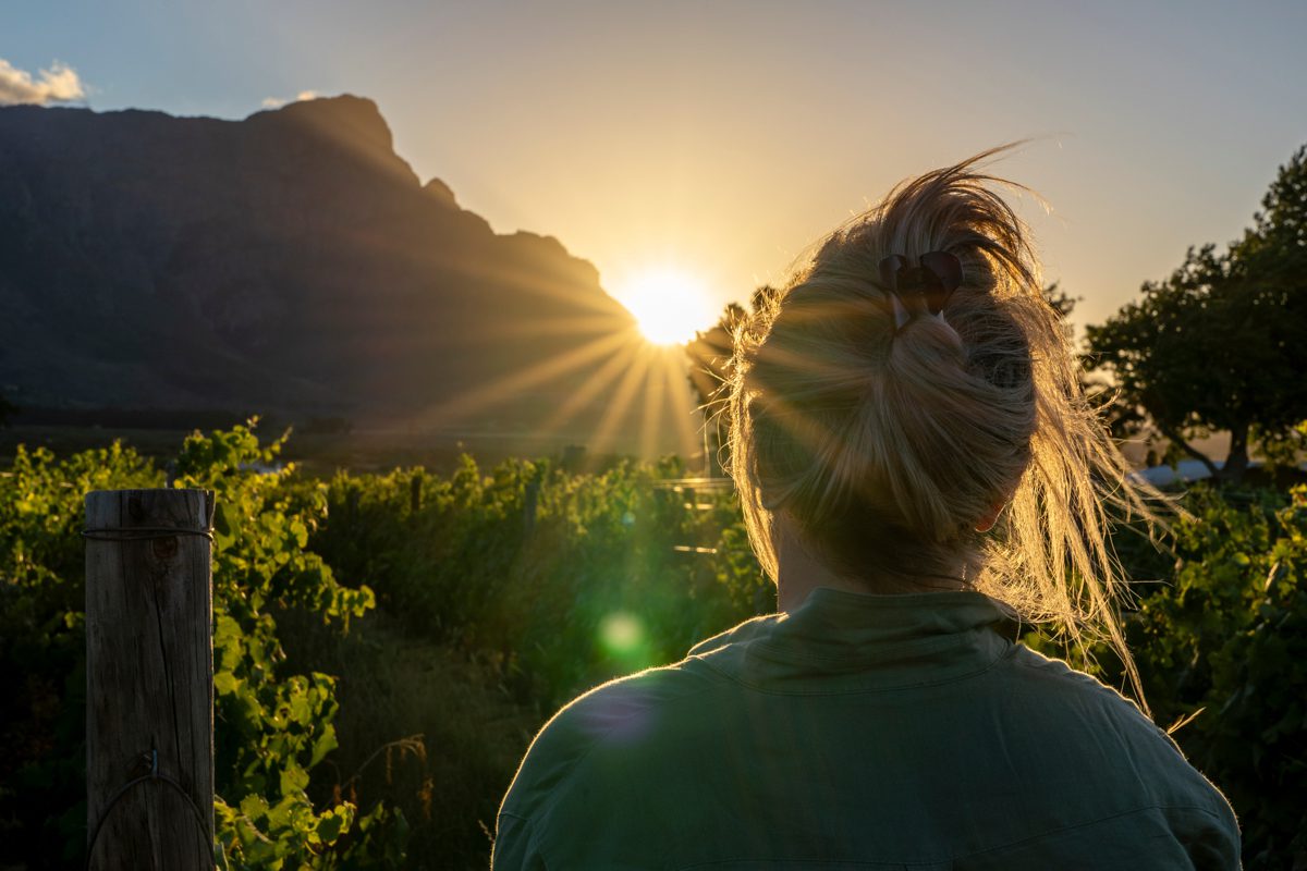 Kvinna i solnedgångsmotljus tittar ut och funderar över att bo på vingård i Sydafrika. Vinrankorna glänser guldiga i ljuset.