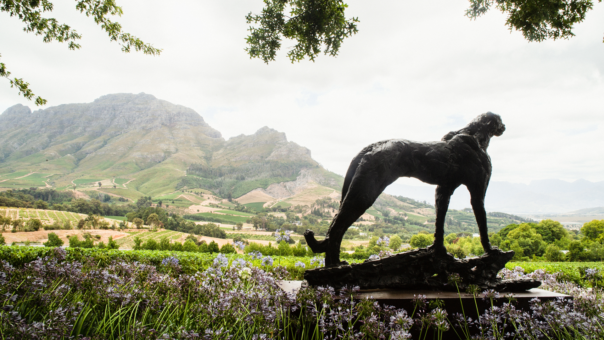 En staty på vingården Delaire Graff med blommor i förgrunden och berg i bakgrunden. En slående vy från en av de bästa restaurangerna i Stellenbosch.